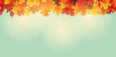 Shiny Autumn Leaves Banner Background vector