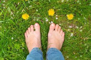 Female feet on the green grass among dandelions photo