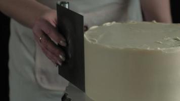 Making a chocolate cake Confectioner work video