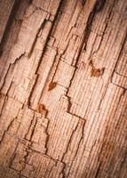 Detalle abstracto de madera podrida rota