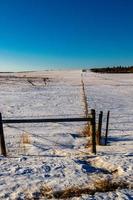 Fence line in a snowy field Springbank Alberta Canada