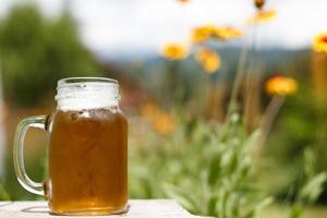 Beer and nature photo