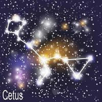 Constelación de cetus con hermosas estrellas brillantes en el fondo del cielo cósmico vector