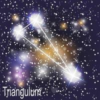 Constelación triangular con hermosas estrellas brillantes en el fondo de la ilustración de vector de cielo cósmico