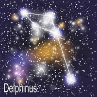 Constelación de Delphinus con hermosas estrellas brillantes en el fondo de la ilustración de vector de cielo cósmico