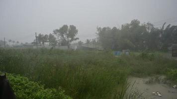 a tempestade está atingindo a floresta e uma chuva forte está caindo na tailândia nakhon si thammarat video