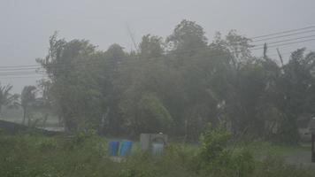 stormen träffar skogen och kraftigt regn faller i Thailand nakhon si thammarat video