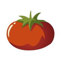 Alimentos orgánicos vegetales de tomate icono de nutrición fresca imagen aislada vector