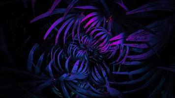 Tropical glowing leaves photo