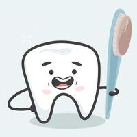 Healthy tooth with a brush vector