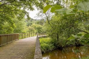 Wooden bridge over a field with meadow and wooded hills photo