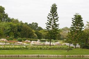 Outdoor landscape garden with pond photo