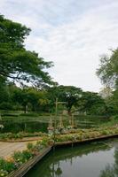 Bamboo bridge with flower in garden photo