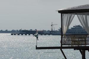 waterfront restaurant over the sea photo