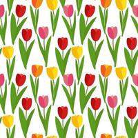 Spring Tulip Flowers Seamless Pattern Background Vector Illustration