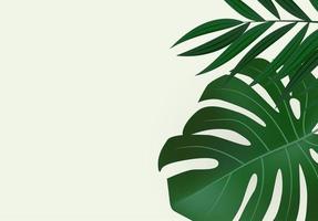 Fondo tropical de hojas de palma verde realista natural vector