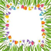 primavera, tulipán, campanilla y narciso, fondo de flores vector