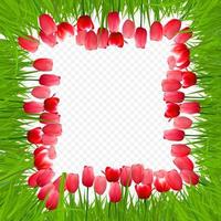 Floral Background with Tulips vector