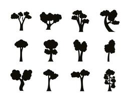 bundle of twelve trees set icons vector