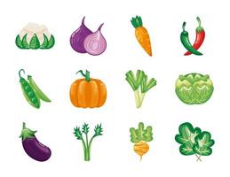 bundle of vegetables set icons vector