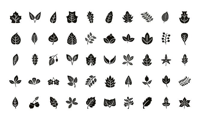 bundle of fifty autumn leaves silhouette style icons
