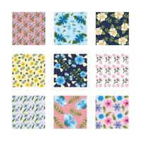 bundle of nine Flowers patterns backgrounds vector