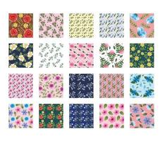 bundle of twenty Flowers patterns backgrounds vector