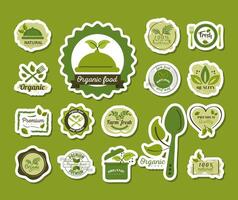 Conjunto de etiquetas e insignias de alimentos orgánicos sobre fondo verde vector