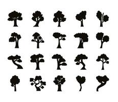 bundle of twenty trees set collection icons vector