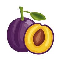 ciruela fresca deliciosa fruta icono de estilo detallado vector