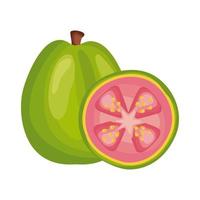 guava fresh delicious fruit detailed style icon vector