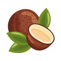 icono de estilo detallado de fruta deliciosa fresca de coco vector