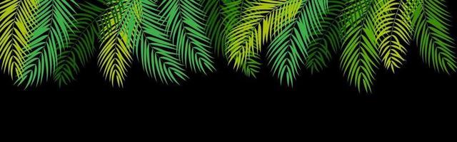 Beautiful Palm Tree Leaf Silhouette Background vector