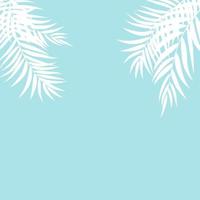 Beautiful Palm Tree Leaves Silhouette Background Vector Illustration