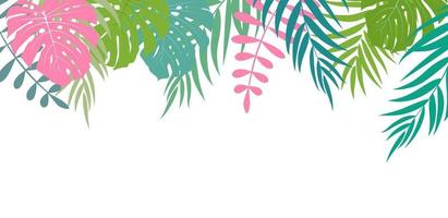 Beautiful Palm Tree Leaves Silhouette Background Vector Illustration