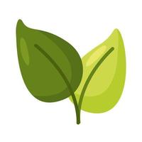 leaves icon isolated vector design