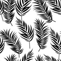 Beautiful Palm Tree Leaves Silhouette, Seamless Pattern Background Vector Illustration