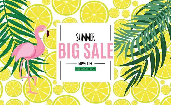 Abstract Summer Sale Background with Palm Leaves and Flamingo