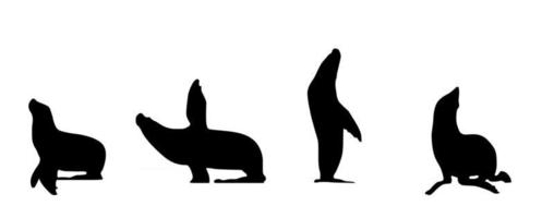 Seal in different positions Isolated on White vector