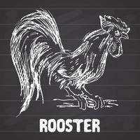 Rooster or cock bird. Hand drawn sketch vector illustration on chalkboard.