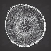 Tree log, wood growth rings grunge texture vector illustration on chalkboard background