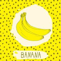 plátano dibujado a mano fruta bosquejada con hojas sobre fondo con patrón de puntos. Doodle vector banana para logo, etiqueta, identidad de marca