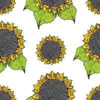 Sunflower seamless pattern hand drawn sketch, background, typography design vector illustration