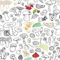 Mushroom hand drawn sketch Seamless Pattern. Vector Illustration.