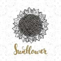 Boceto de girasol con letras, etiqueta vintage, insignia texturizada grunge dibujada a mano, plantilla de logotipo retro, ilustración de vector de diseño de tipografía