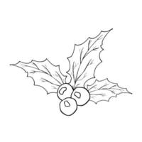 hojas de acebo y bayas icono dibujado a mano, bosquejo del esquema doodle. ilustración vectorial aislado en blanco.