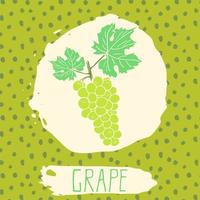 Grape hand drawn sketched fruit with leaf on background with dots pattern. Doodle vector grape for logo, label, brand identity