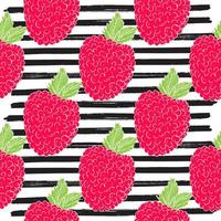 Raspberry hand drawn sketch striped Seamless Pattern. Vector Illustration