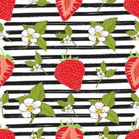 Strawberry hand drawn sketch striped Seamless Pattern. Vector Illustration.