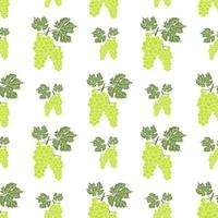 Fruit background Seamless pattern with hand drawn sketch green grape vector illustration